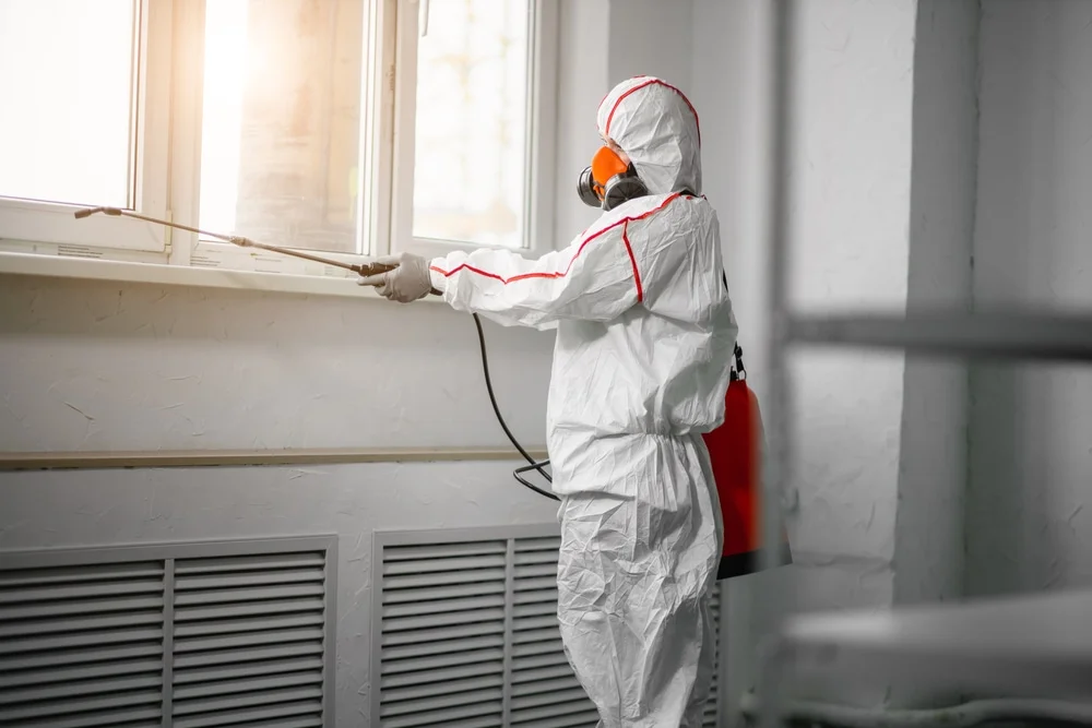 Professional mold remediation services in Garwood, NJ